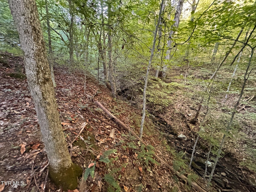 Photo #29: 3341 Stoney Fork Road