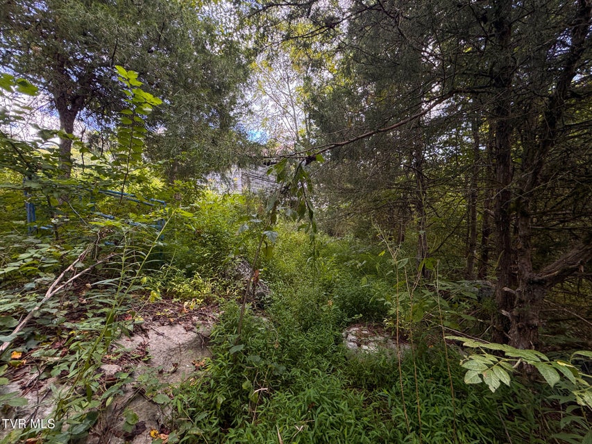 Photo #30: 3341 Stoney Fork Road