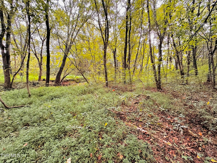 Photo #13: 938 Old Newport Highway