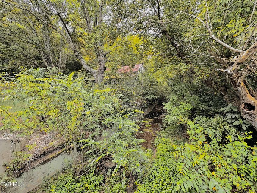 Photo #2: 938 Old Newport Highway