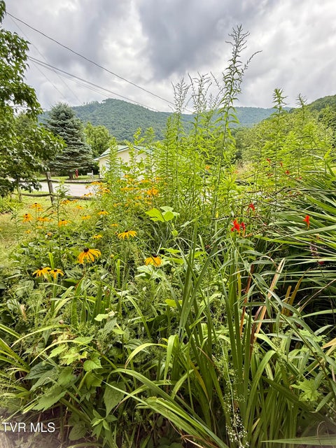 Photo #77: 105 Orchard Meadows Lane
