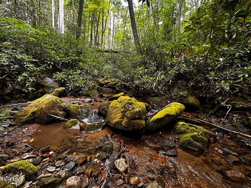 Photo #6: Tbd Viking Mountain Road
