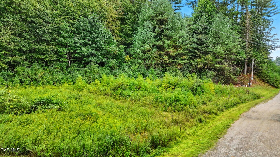 Photo #2: Tbd Whispering Pine Way