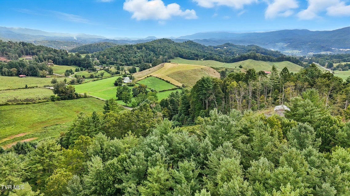 Photo #11: Tbd Whispering Pine Way