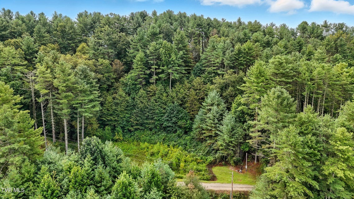 Photo #12: Tbd Whispering Pine Way