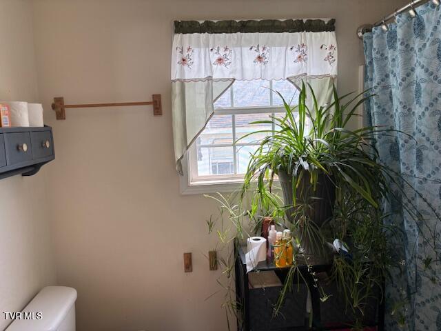 Photo #7: 295 Monroe Street