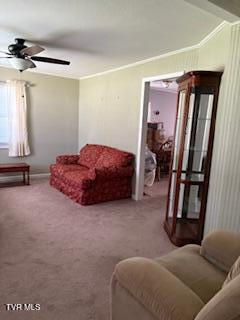 Photo #3: 246 Moreland Drive