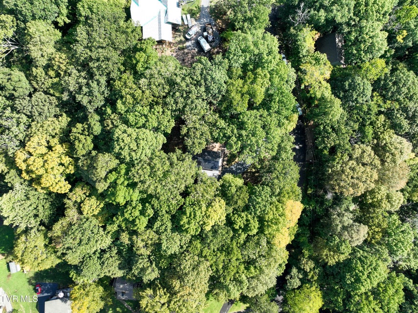 Photo #53: 7 Crosstimber Court