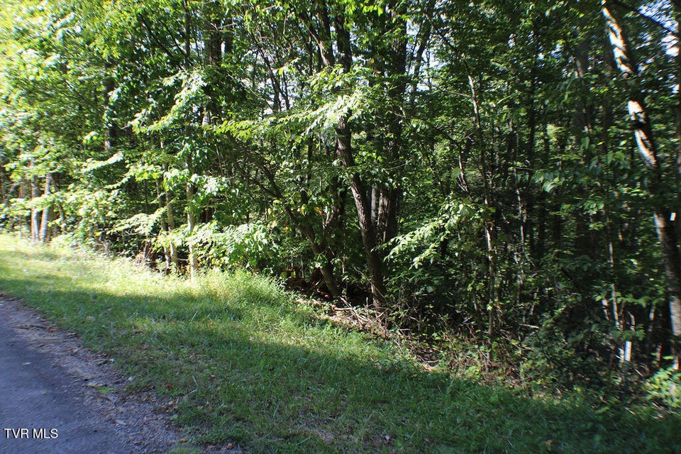 Photo #3: Tbd Deer Creek Xing 