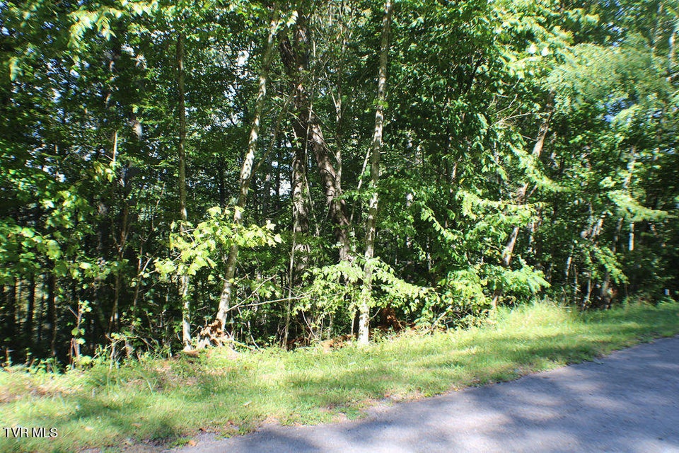 Photo #4: Tbd Deer Creek Xing 