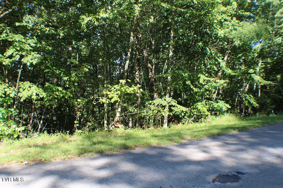 Photo #5: Tbd Deer Creek Xing 