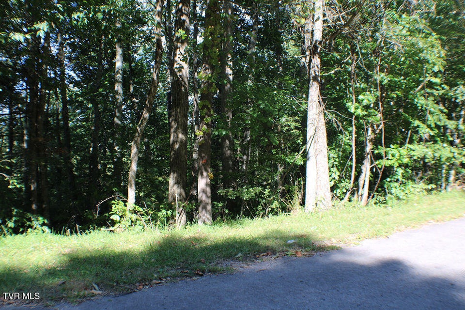 Photo #6: Tbd Deer Creek Xing 