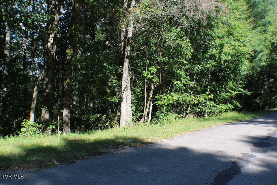 Photo #7: Tbd Deer Creek Xing 