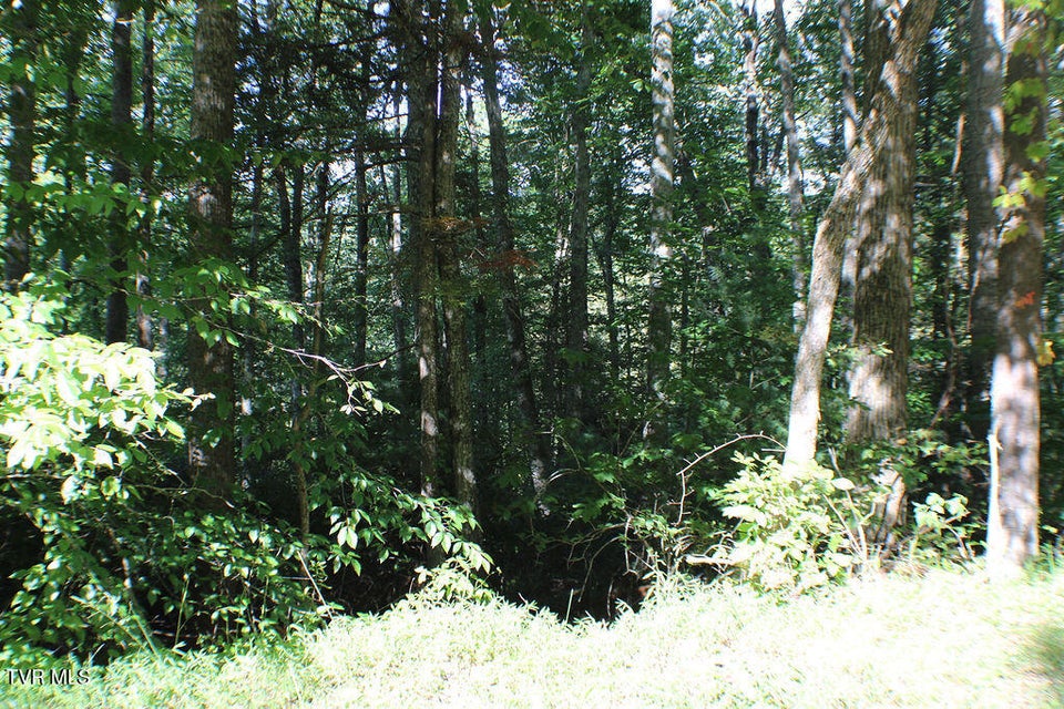 Photo #8: Tbd Deer Creek Xing 