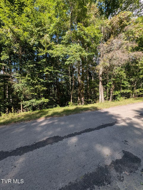 Photo #9: Tbd Deer Creek Xing 