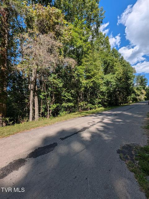 Photo #10: Tbd Deer Creek Xing 