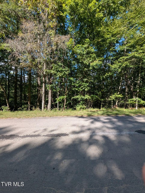 Photo #11: Tbd Deer Creek Xing 