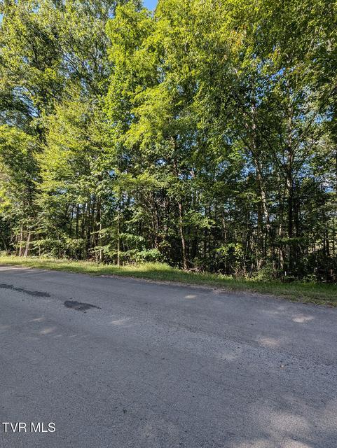 Photo #13: Tbd Deer Creek Xing 