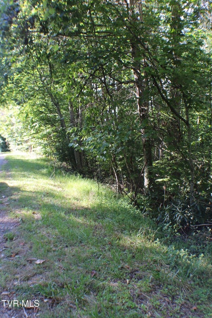 Photo #7: Tbd Deer Creek Xing 