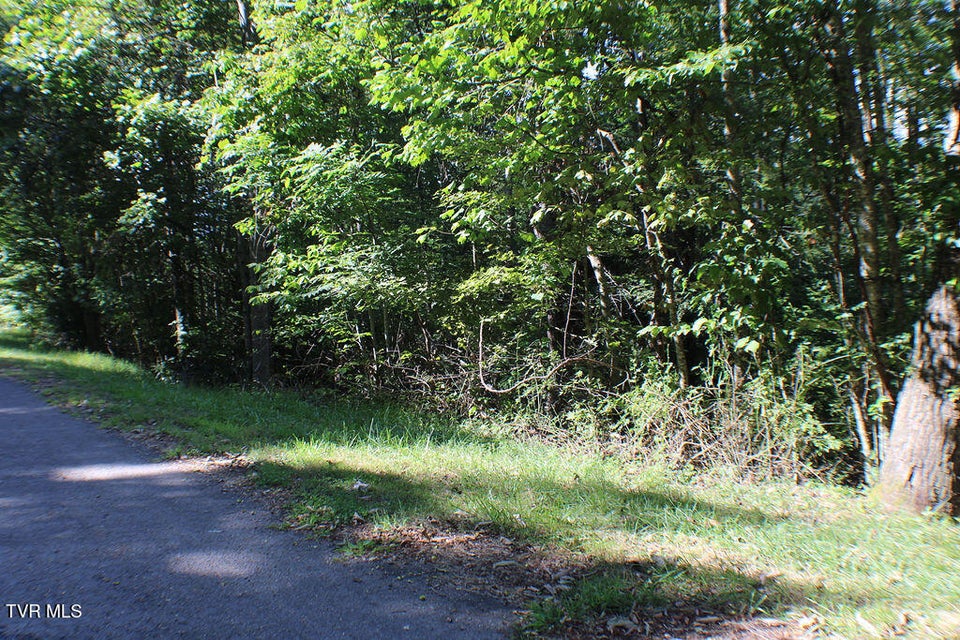 Photo #9: Tbd Deer Creek Xing 