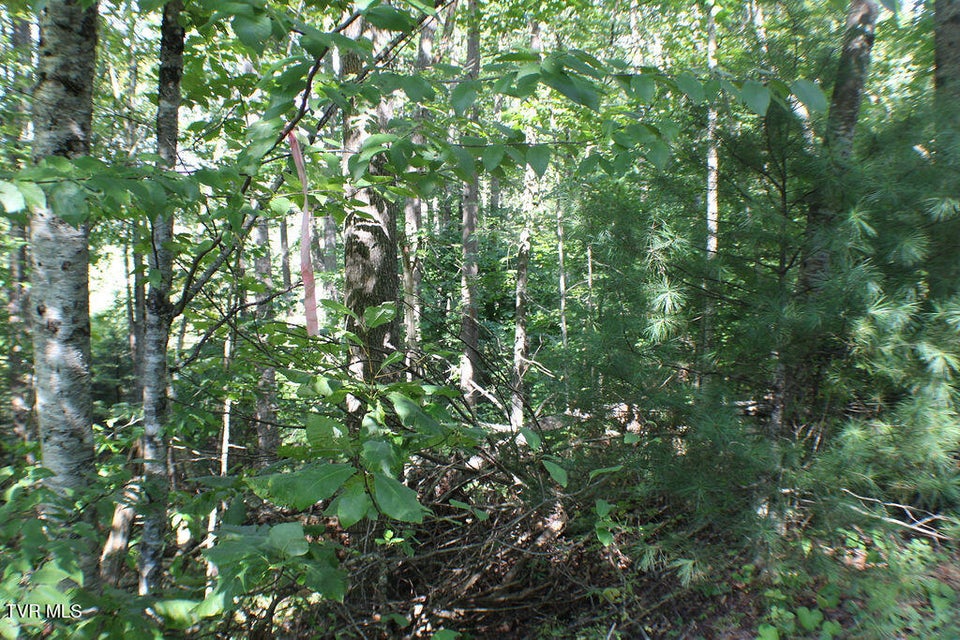 Photo #10: Tbd Deer Creek Xing 