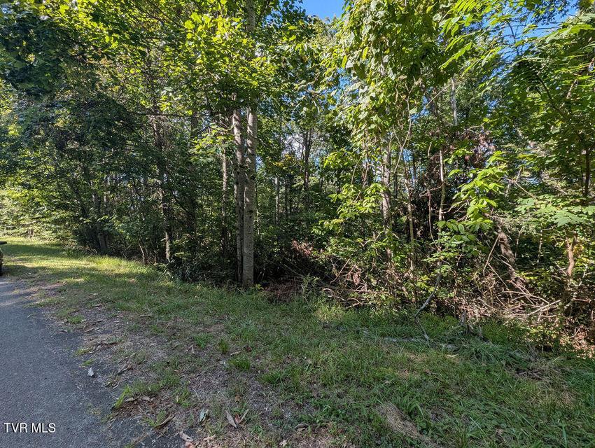 Photo #12: Tbd Deer Creek Xing 