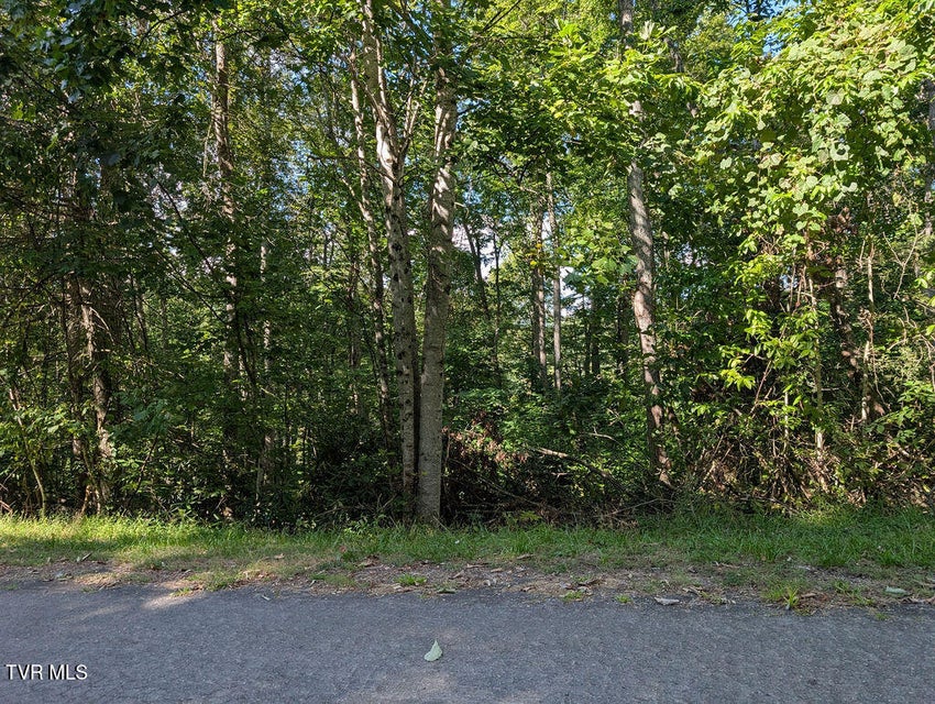 Photo #4: Tbd Deer Creek Xing 