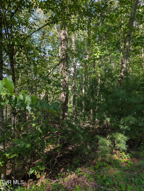 Photo #13: Tbd Deer Creek Xing 