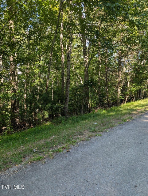 Photo #14: Tbd Deer Creek Xing 