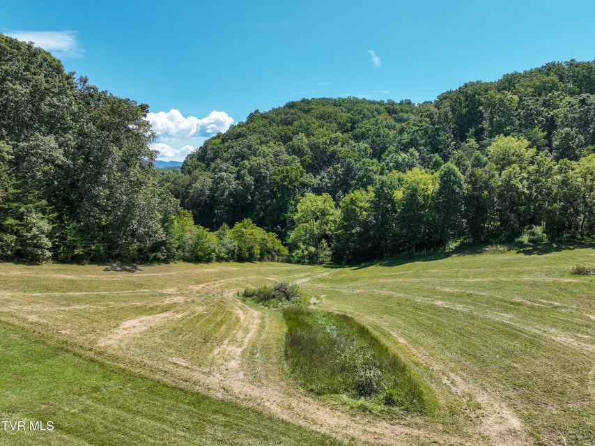 Photo #48: 152 Cagle Road