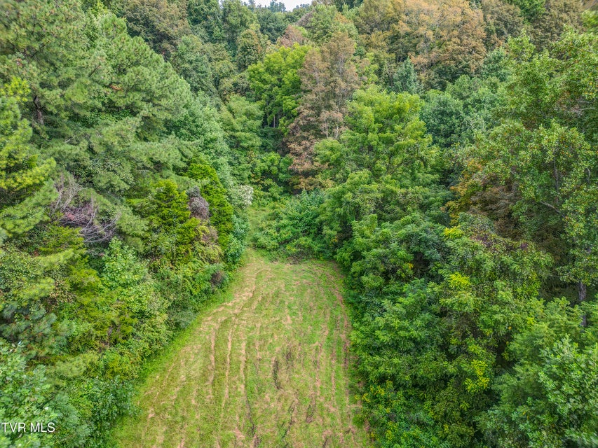 Photo #50: 1084 Highway 394