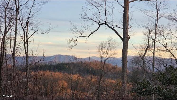 Photo #34: 169 Mays Road