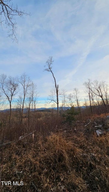 Photo #36: 169 Mays Road