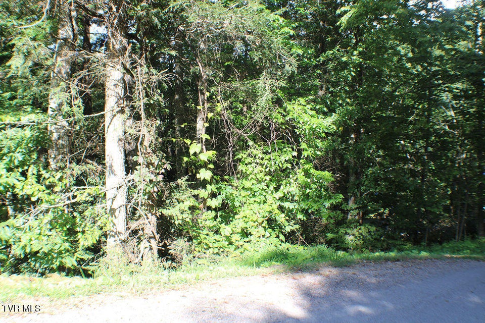 Photo #14: Tbd Deer Creek Xing 