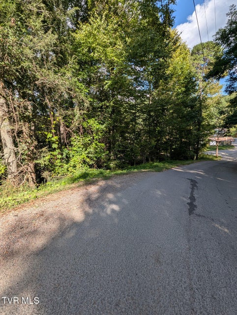 Photo #11: Tbd Deer Creek Xing 