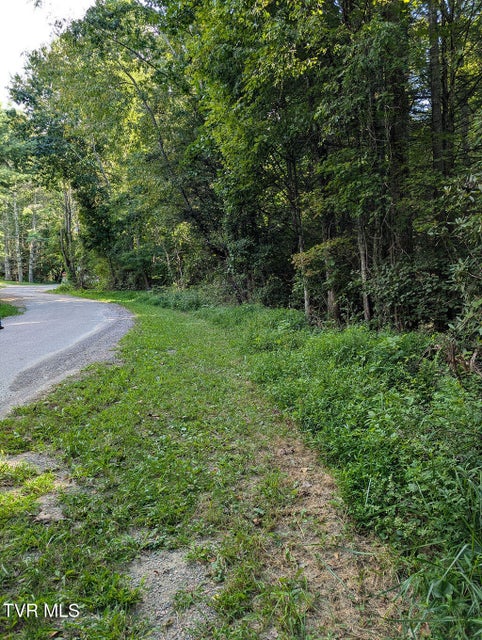 Photo #3: Tbd Deer Creek Xing 