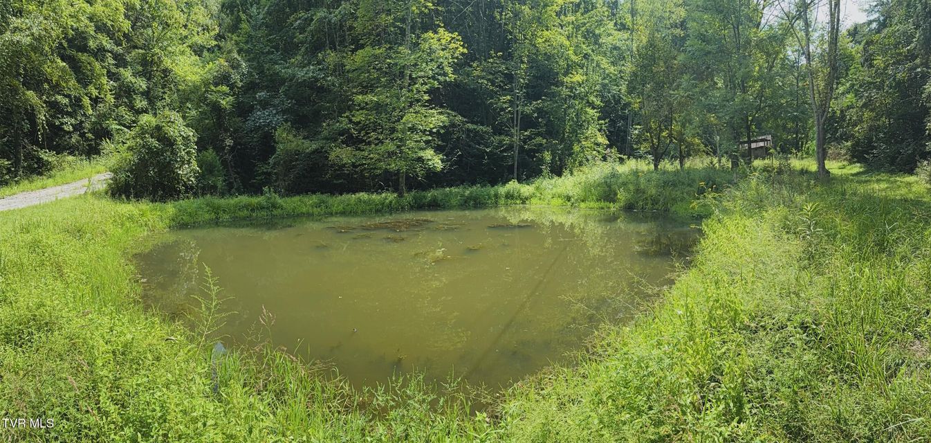Photo #19: 568 Possum Creek Road