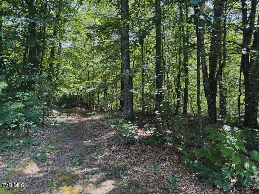 Photo #25: 568 Possum Creek Road