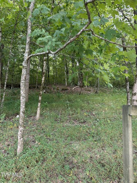 Photo #9: 1633 Poplar Springs Road