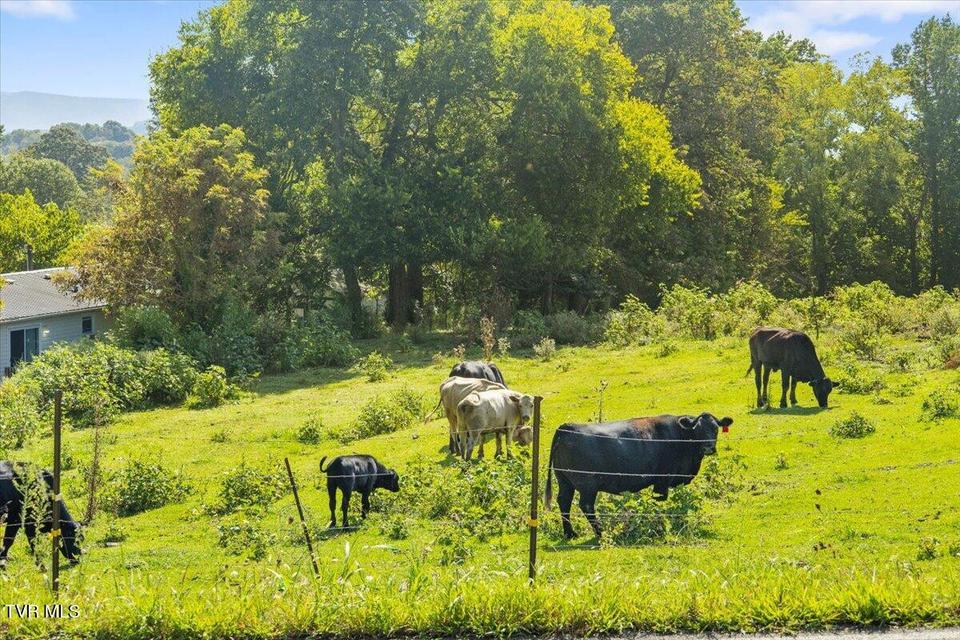 Photo #10: 283 Telford Road