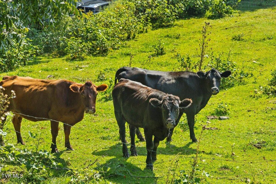 Photo #11: 283 Telford Road