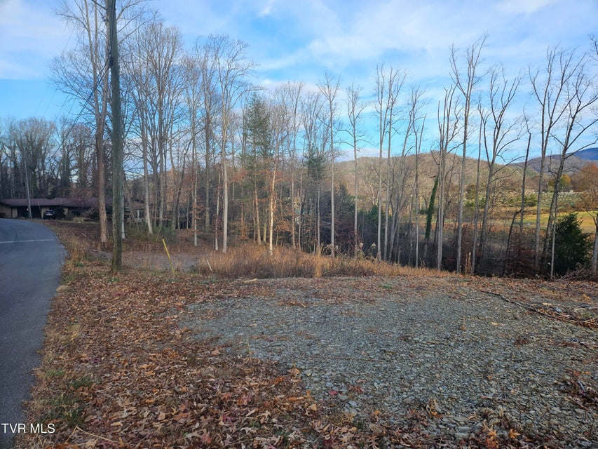Photo #2: 000 Galax Drive