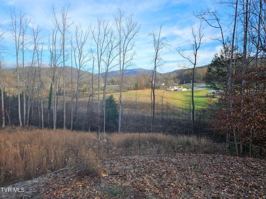 Photo #3: 000 Galax Drive