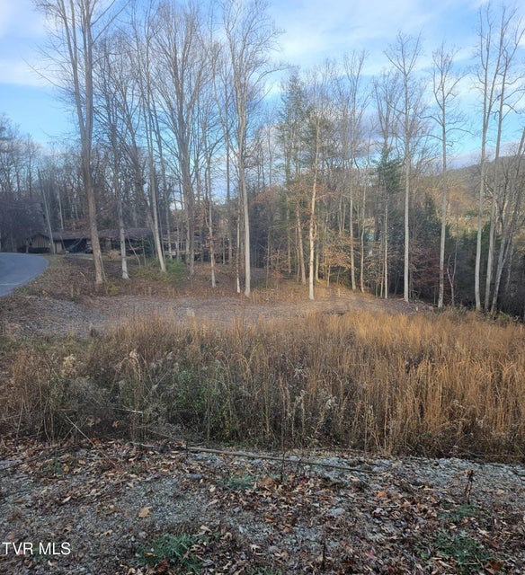 Photo #4: 000 Galax Drive