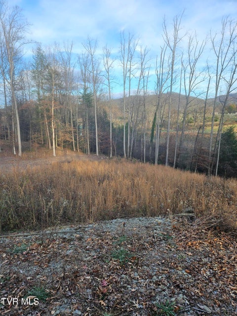 Photo #5: 000 Galax Drive