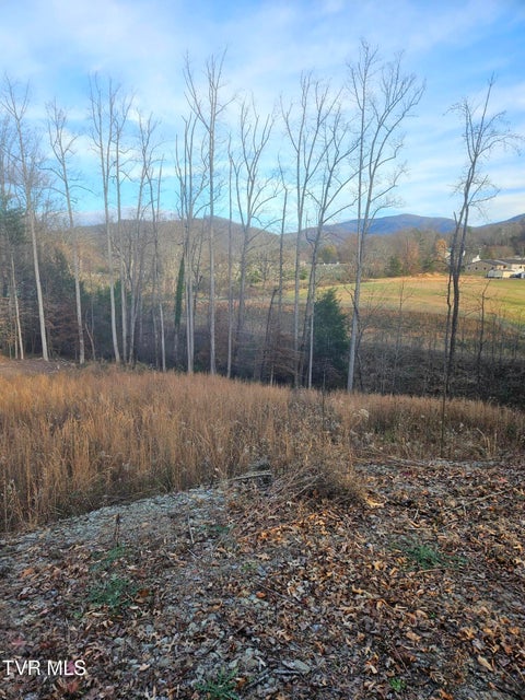Photo #6: 000 Galax Drive