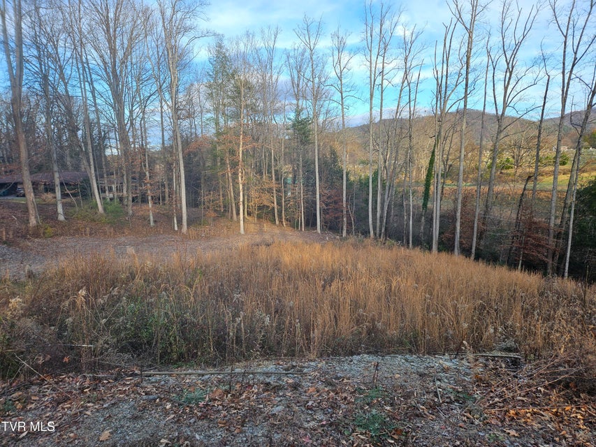 Photo #7: 000 Galax Drive
