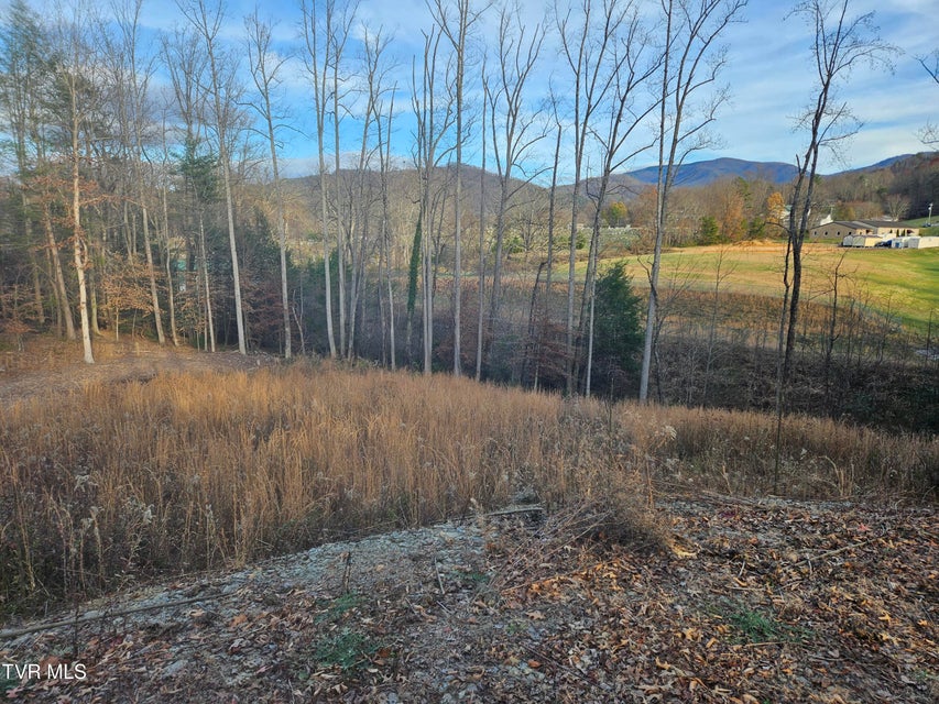 Photo #8: 000 Galax Drive