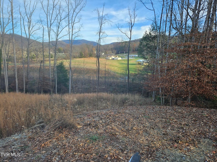 Photo #9: 000 Galax Drive