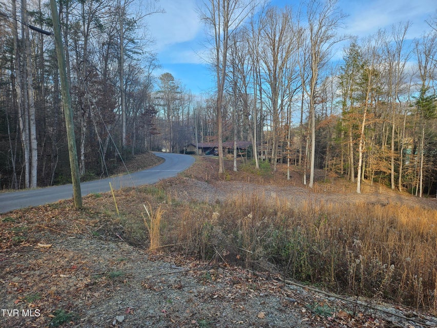 Photo #10: 000 Galax Drive